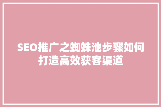 SEO推广之蜘蛛池步骤如何打造高效获客渠道