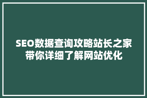 SEO数据查询攻略站长之家带你详细了解网站优化