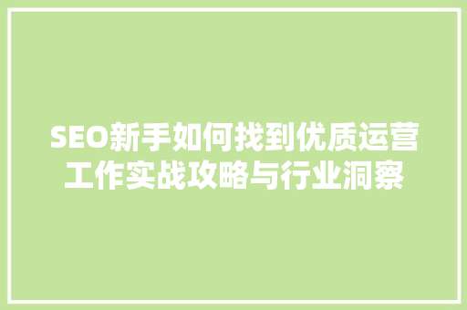 SEO新手如何找到优质运营工作实战攻略与行业洞察