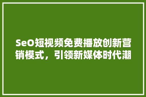 SeO短视频免费播放创新营销模式，引领新媒体时代潮流