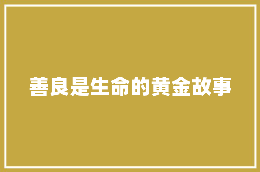 SEO网站排名优化步骤如何提升网站在搜索引擎中的表现