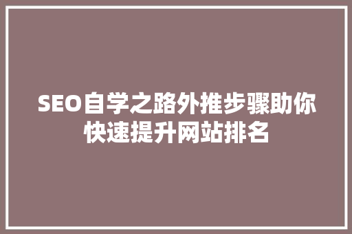 SEO自学之路外推步骤助你快速提升网站排名