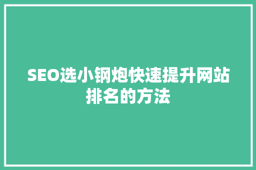 SEO选小钢炮快速提升网站排名的方法  第1张