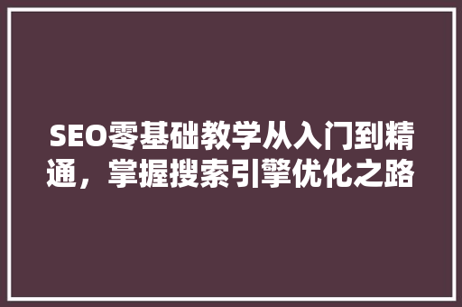SEO零基础教学从入门到精通，掌握搜索引擎优化之路