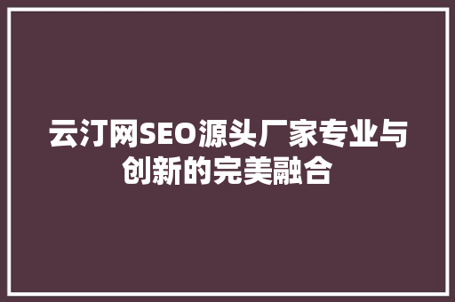 云汀网SEO源头厂家专业与创新的完美融合