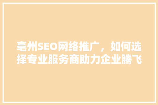 亳州SEO网络推广，如何选择专业服务商助力企业腾飞