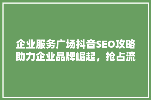 企业服务广场抖音SEO攻略助力企业品牌崛起，抢占流量高地  第1张