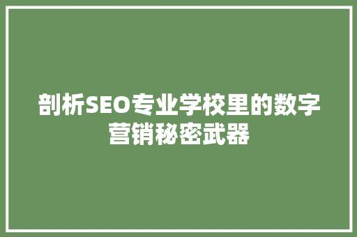 剖析SEO专业学校里的数字营销秘密武器