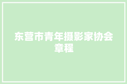 iOS屏幕代码苹果生态系统的核心秘密