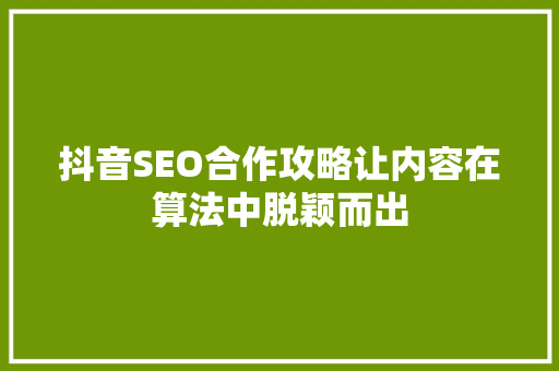 抖音SEO合作攻略让内容在算法中脱颖而出