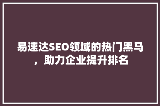 易速达SEO领域的热门黑马，助力企业提升排名