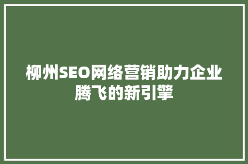 柳州SEO网络营销助力企业腾飞的新引擎