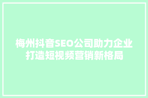 梅州抖音SEO公司助力企业打造短视频营销新格局