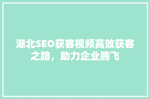 湖北SEO获客视频高效获客之路，助力企业腾飞