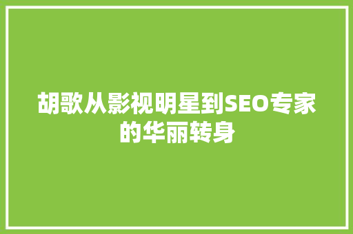 胡歌从影视明星到SEO专家的华丽转身