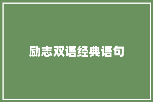 蛋糕界的SEO方法如何打造爆款蛋糕文案，提升品牌知名度