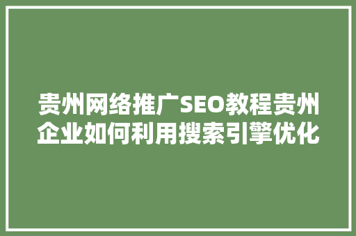 贵州网络推广SEO教程贵州企业如何利用搜索引擎优化提升品牌影响力