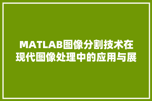 MATLAB图像分割技术在现代图像处理中的应用与展望