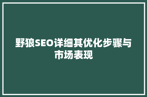 野狼SEO详细其优化步骤与市场表现