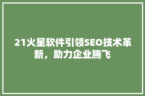 21火星软件引领SEO技术革新，助力企业腾飞