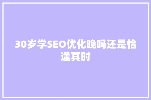 30岁学SEO优化晚吗还是恰逢其时