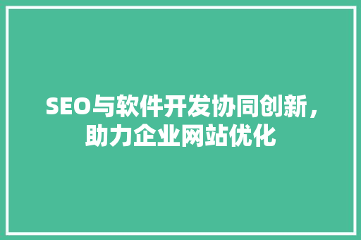 SEO与软件开发协同创新，助力企业网站优化