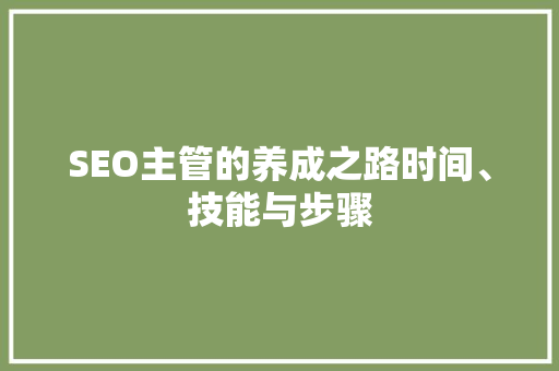 SEO主管的养成之路时间、技能与步骤