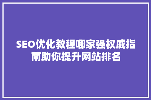 SEO优化教程哪家强权威指南助你提升网站排名