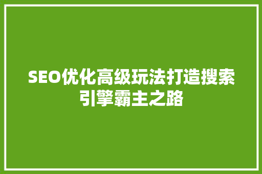 SEO优化高级玩法打造搜索引擎霸主之路