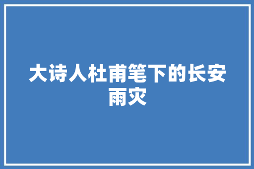SEO外贸专员职业发展新风口，助力企业国际化