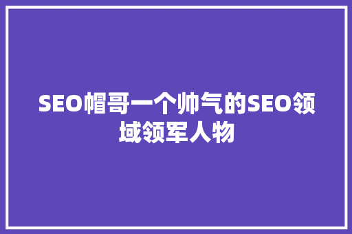 SEO帽哥一个帅气的SEO领域领军人物
