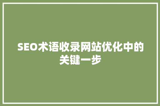 SEO术语收录网站优化中的关键一步