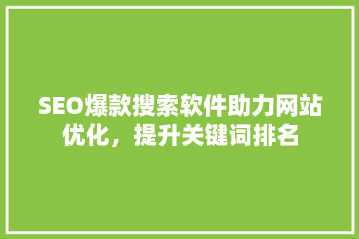 SEO爆款搜索软件助力网站优化，提升关键词排名