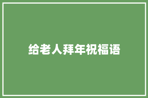 Flash技术在我国互联网发展中的重要作用与未来展望