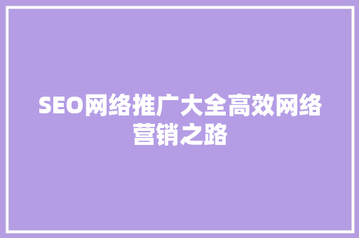 SEO网络推广大全高效网络营销之路