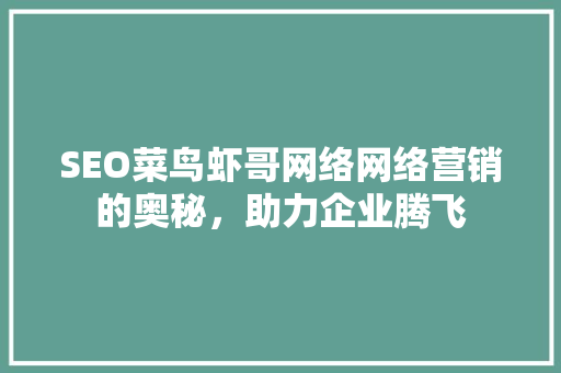 SEO菜鸟虾哥网络网络营销的奥秘，助力企业腾飞
