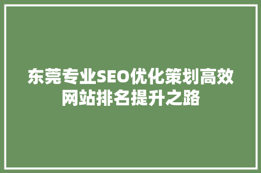 东莞专业SEO优化策划高效网站排名提升之路