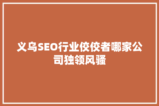 义乌SEO行业佼佼者哪家公司独领风骚