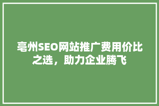 亳州SEO网站推广费用价比之选，助力企业腾飞