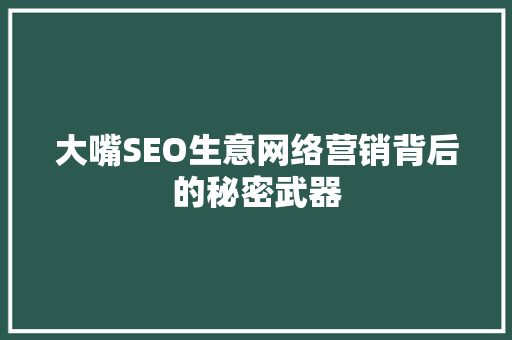 大嘴SEO生意网络营销背后的秘密武器