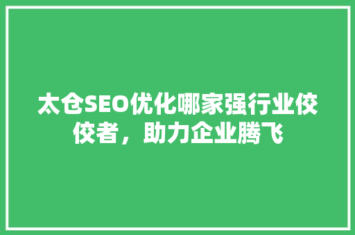 太仓SEO优化哪家强行业佼佼者，助力企业腾飞