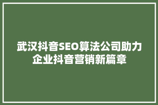 武汉抖音SEO算法公司助力企业抖音营销新篇章