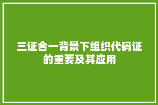 三证合一背景下组织代码证的重要及其应用