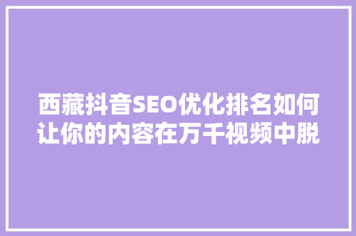 西藏抖音SEO优化排名如何让你的内容在万千视频中脱颖而出