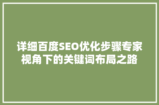 详细百度SEO优化步骤专家视角下的关键词布局之路
