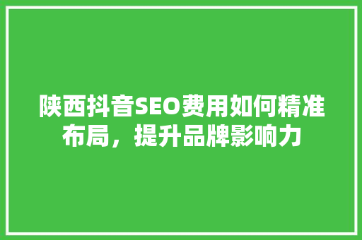 陕西抖音SEO费用如何精准布局，提升品牌影响力