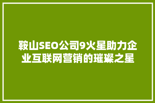鞍山SEO公司9火星助力企业互联网营销的璀璨之星