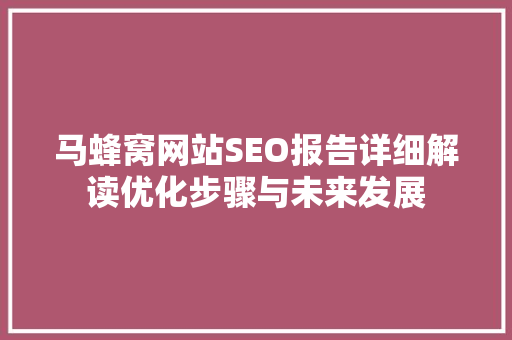 马蜂窝网站SEO报告详细解读优化步骤与未来发展