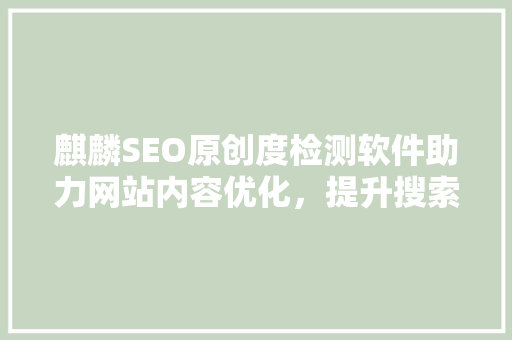 麒麟SEO原创度检测软件助力网站内容优化，提升搜索引擎排名