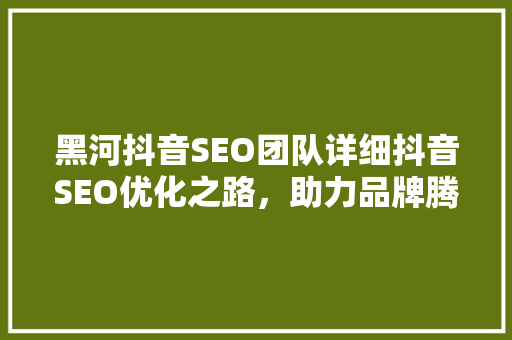 黑河抖音SEO团队详细抖音SEO优化之路，助力品牌腾飞